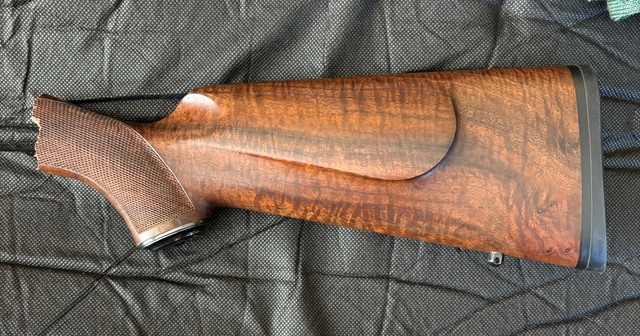 IMG_9866.jpeg IMG_9866.jpeg