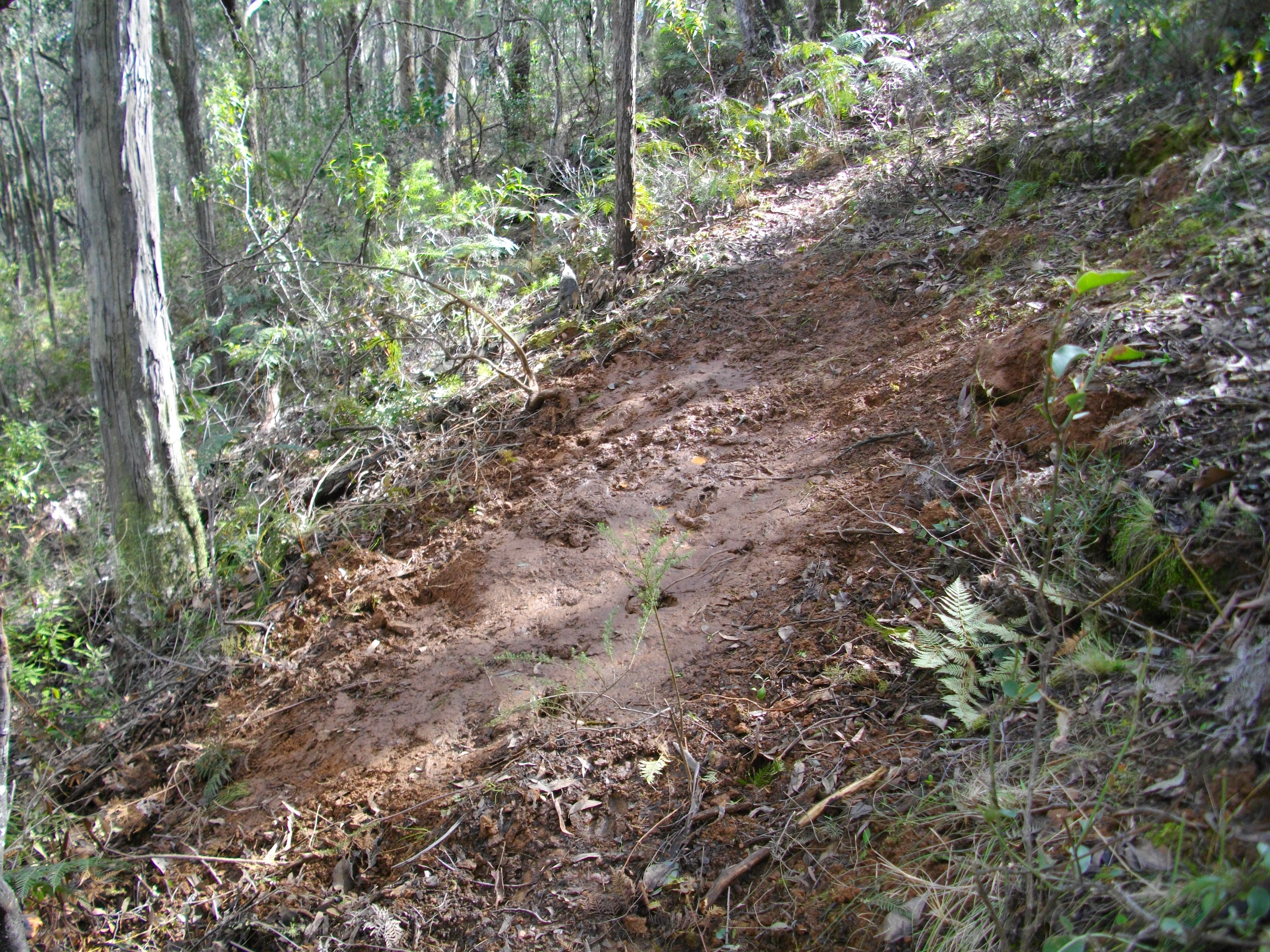 IMGP1011.JPG