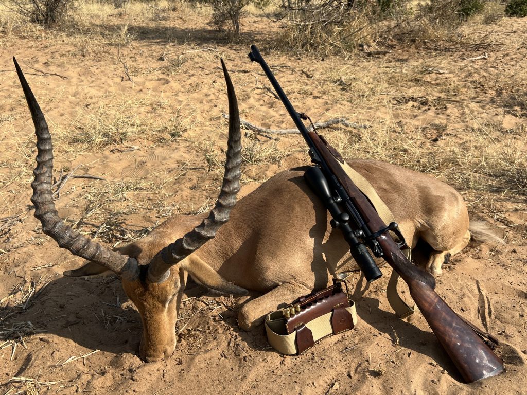 Impala-hunt_.275-Rigby-1024x768.jpg