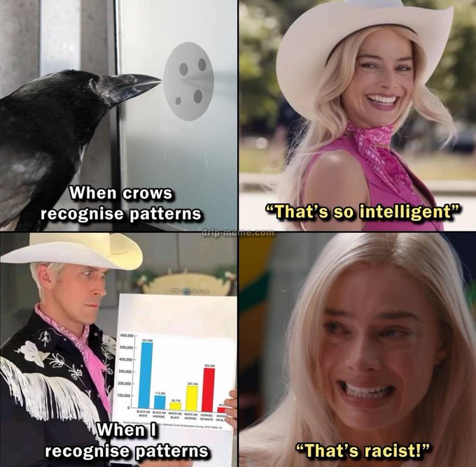 intelligent crows vs. racist pattern observer.jpeg