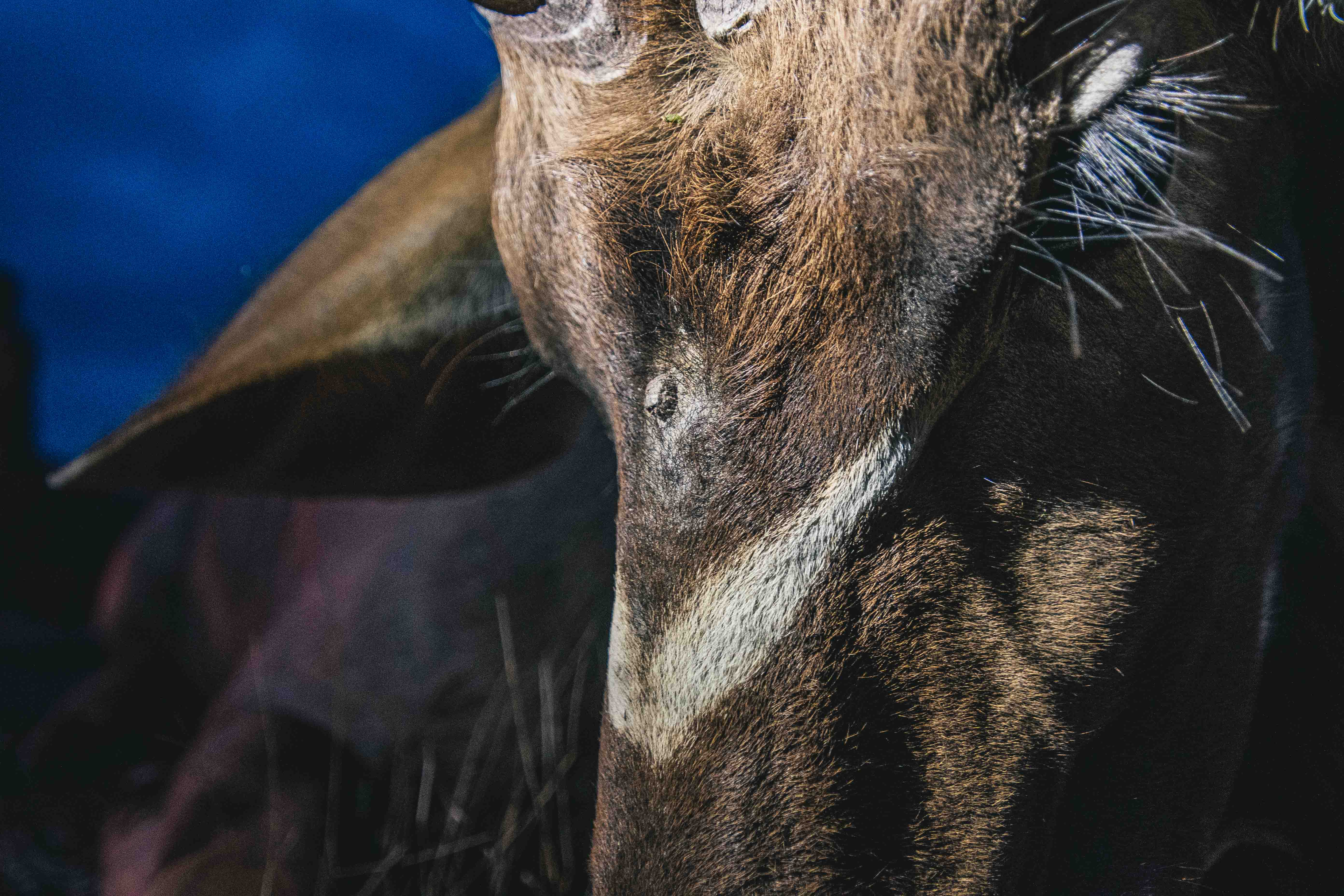 J50_2107.JPG J50_2107.JPG