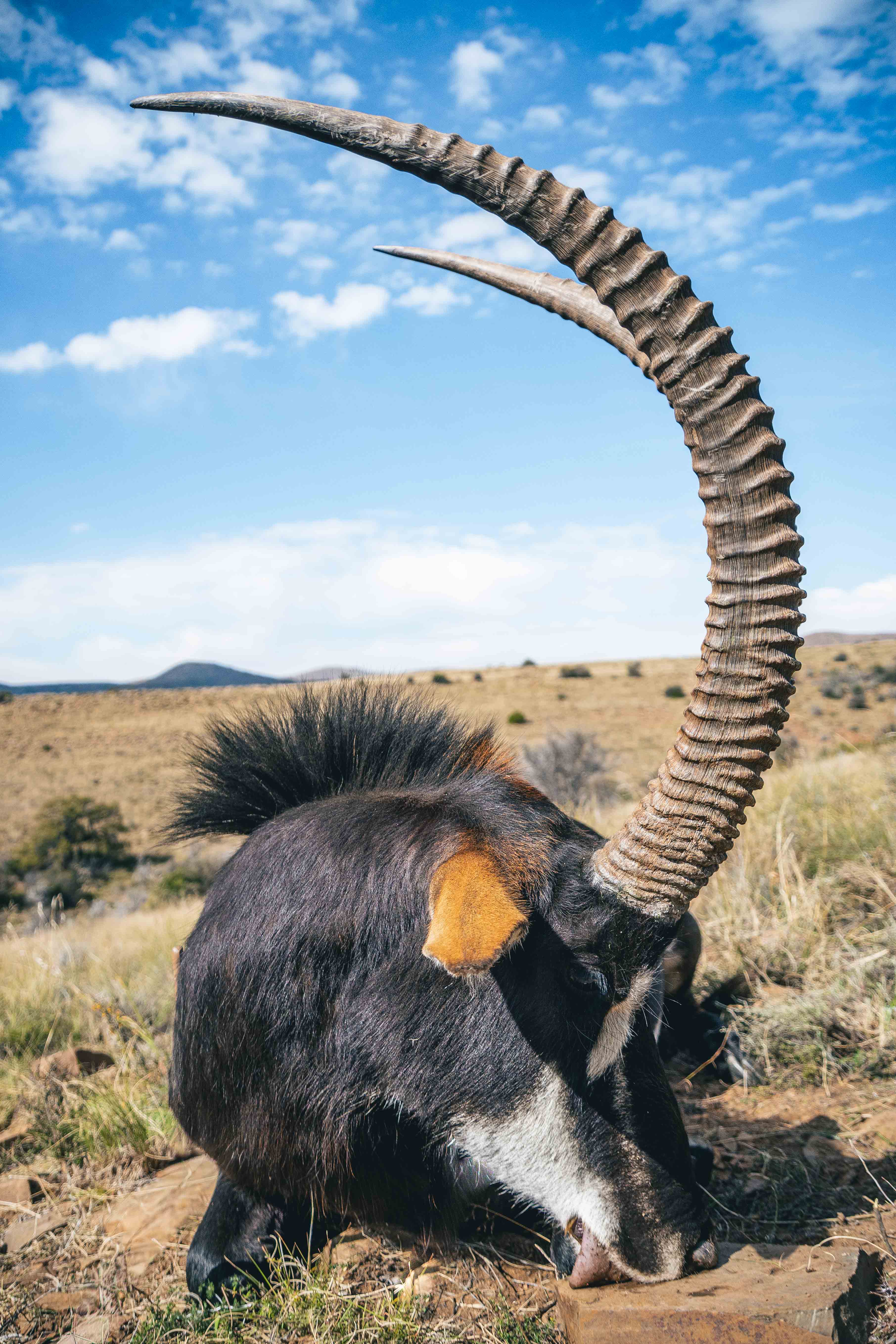 J50_2416.JPG J50_2416.JPG