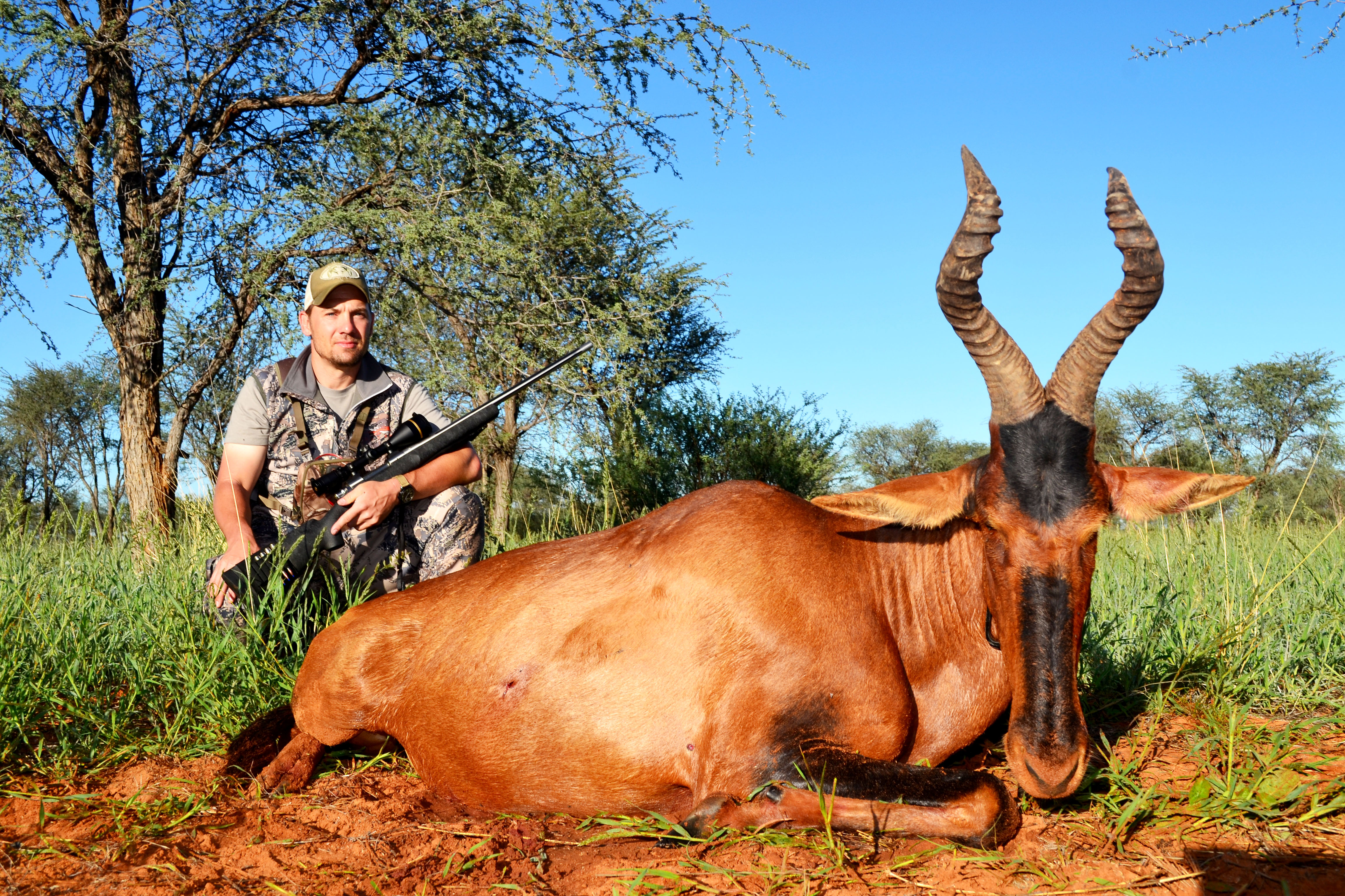 Jeremy - Red Hartebeest.JPG