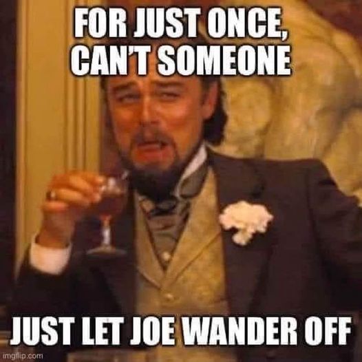 joe wander meme.jpg
