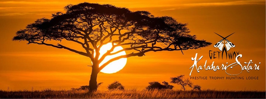 Kalahari Safari NAMIBIA.jpg