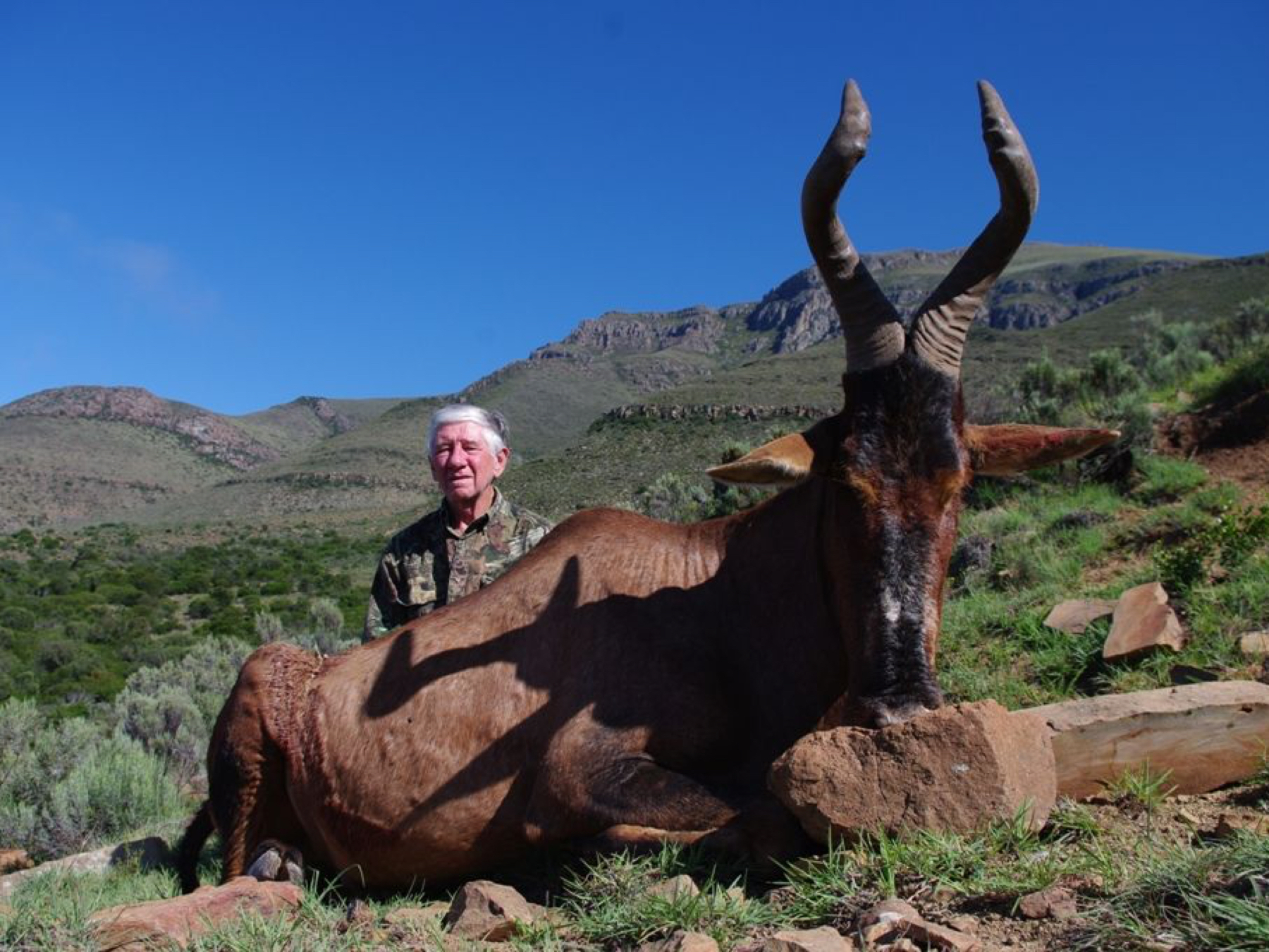 karoo-wild-safaris-32.jpg