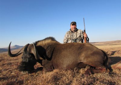 kas-trophy-Wildebeest-Black-400x284.jpg