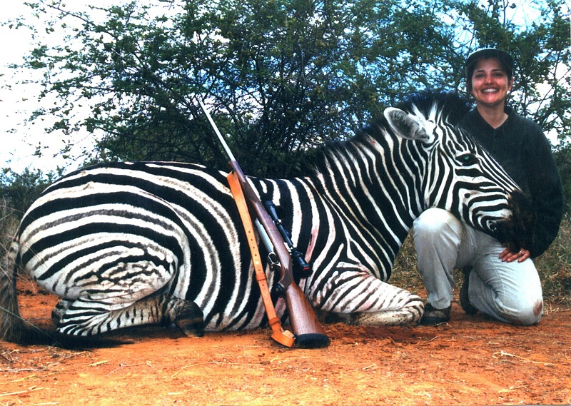 Kate-Zebra-800x.jpg