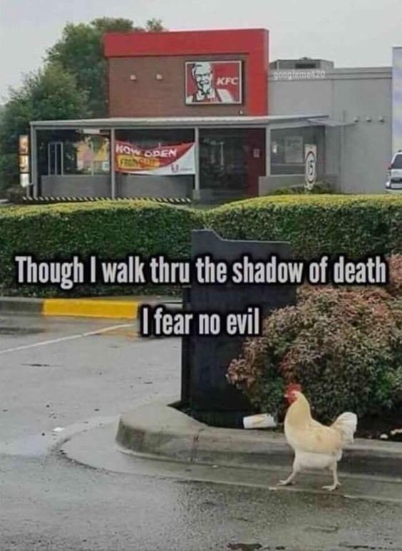 KFC Chicken.jpg