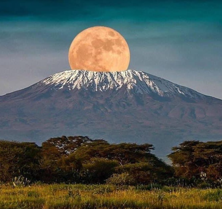 Kilimanjaro.png