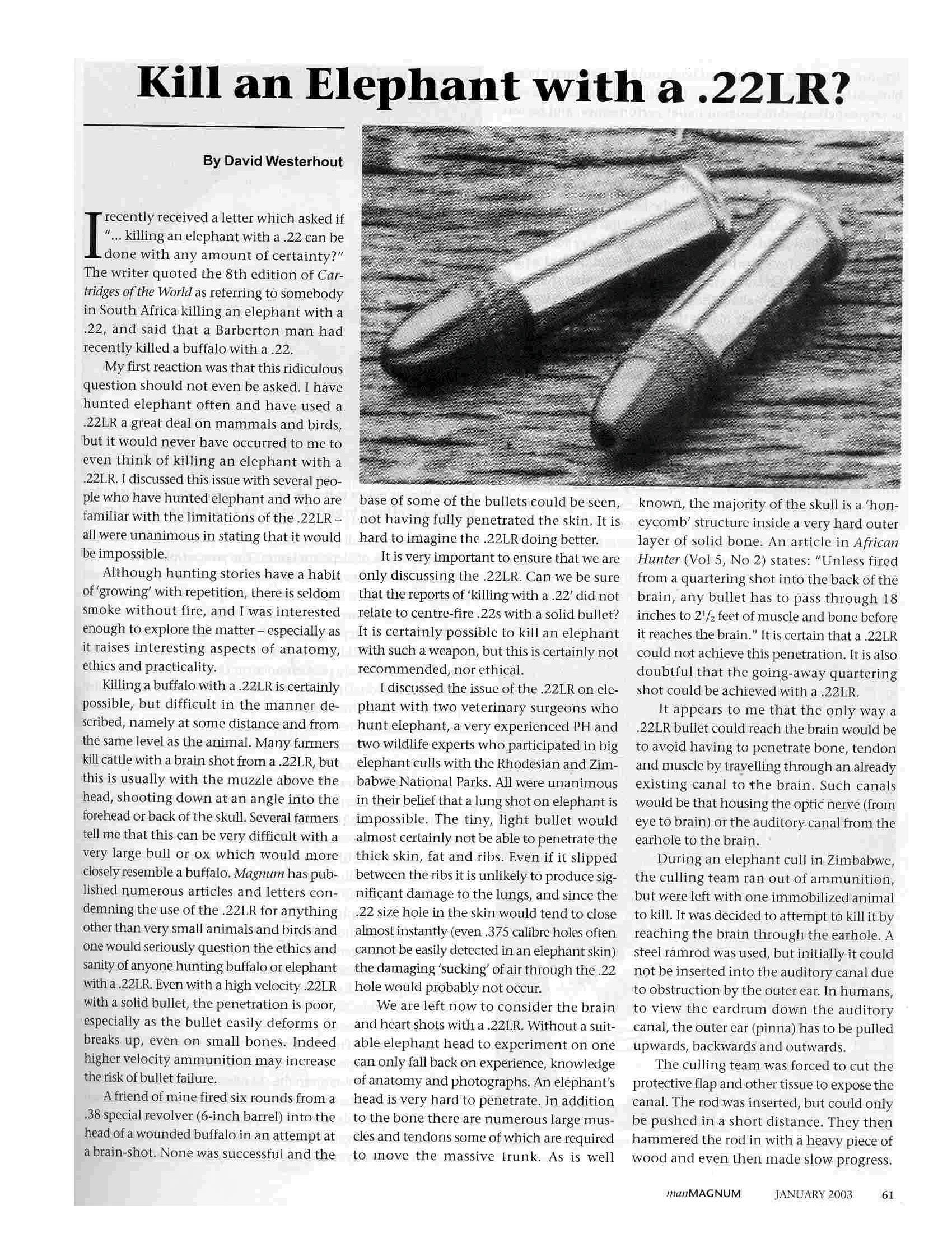 kill-an-elephant-with-a 22lr-01.jpg