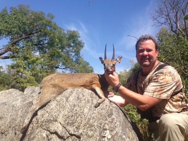 KLIPSPRINGER.jpeg