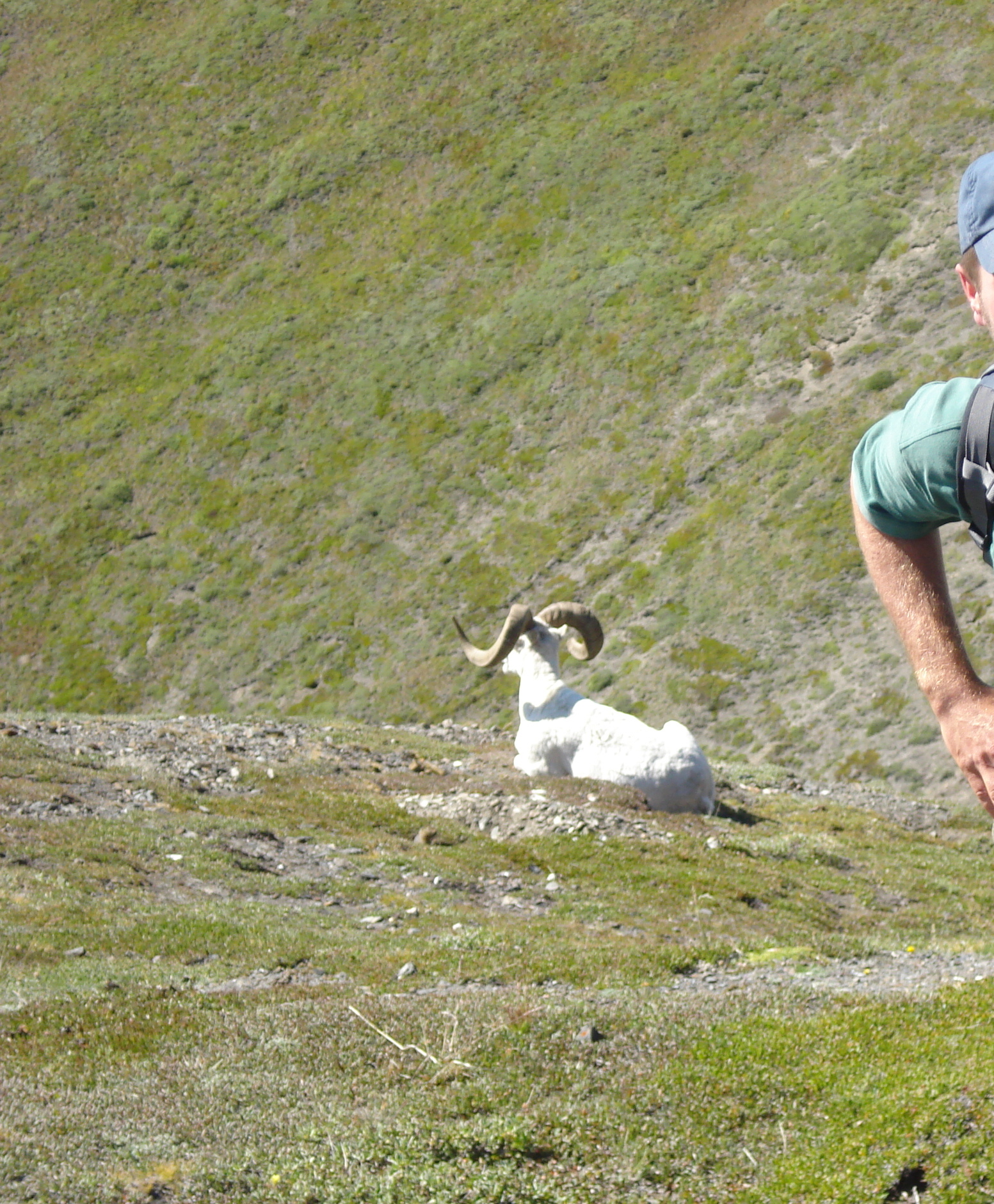 Kluane NP Yukon.jpg