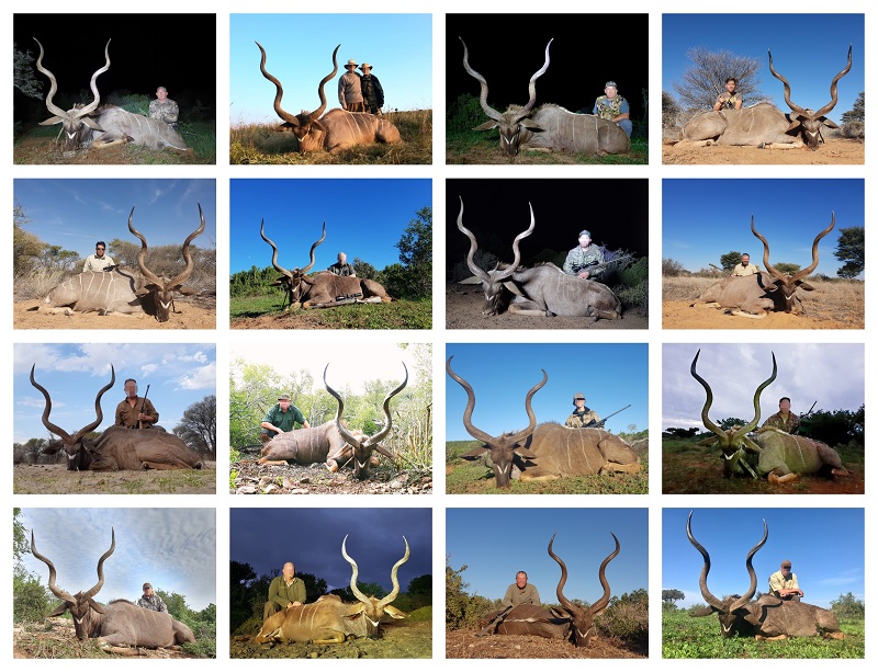 kudu 2019 collage.jpg