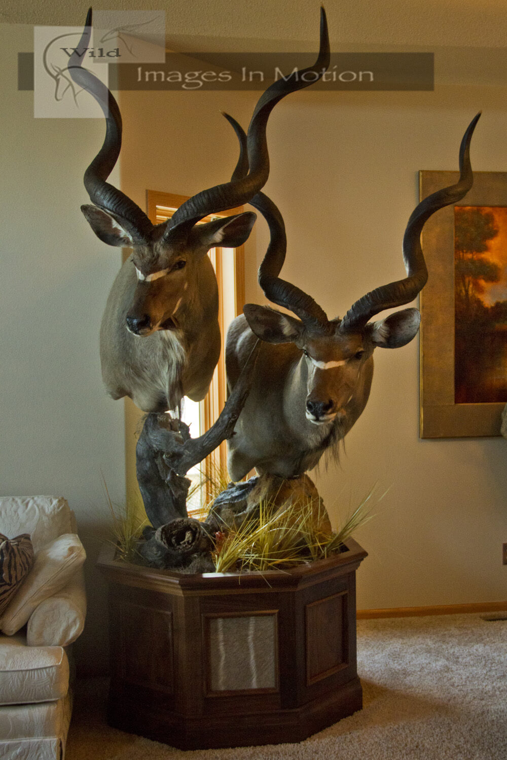 Kudu-Double-Pedestal.jpg