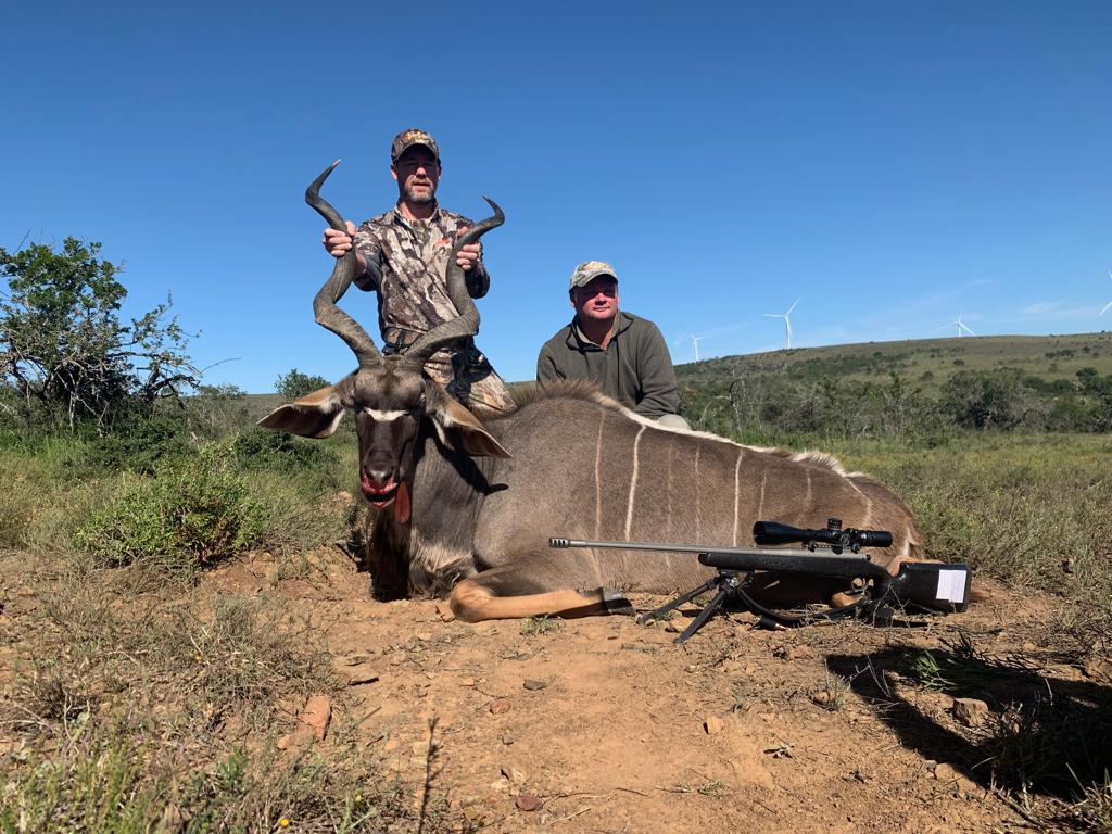 Kudu.jpeg