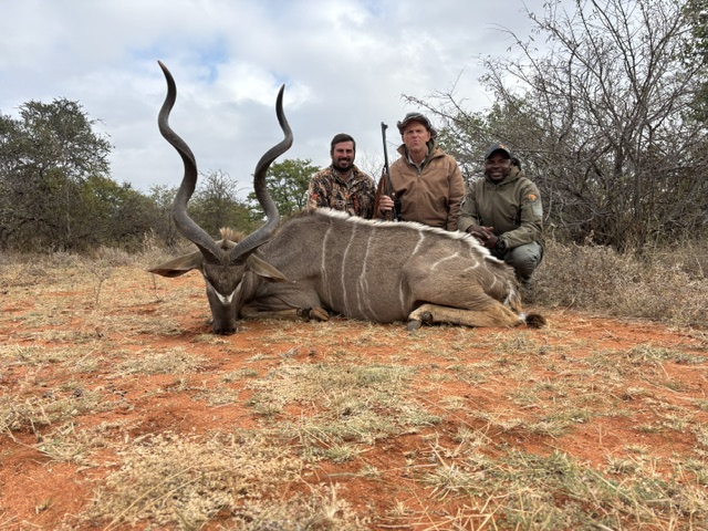 Kudu.jpeg