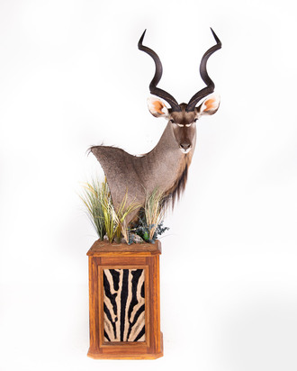 Kudu Pedestal Nount 3.jpg