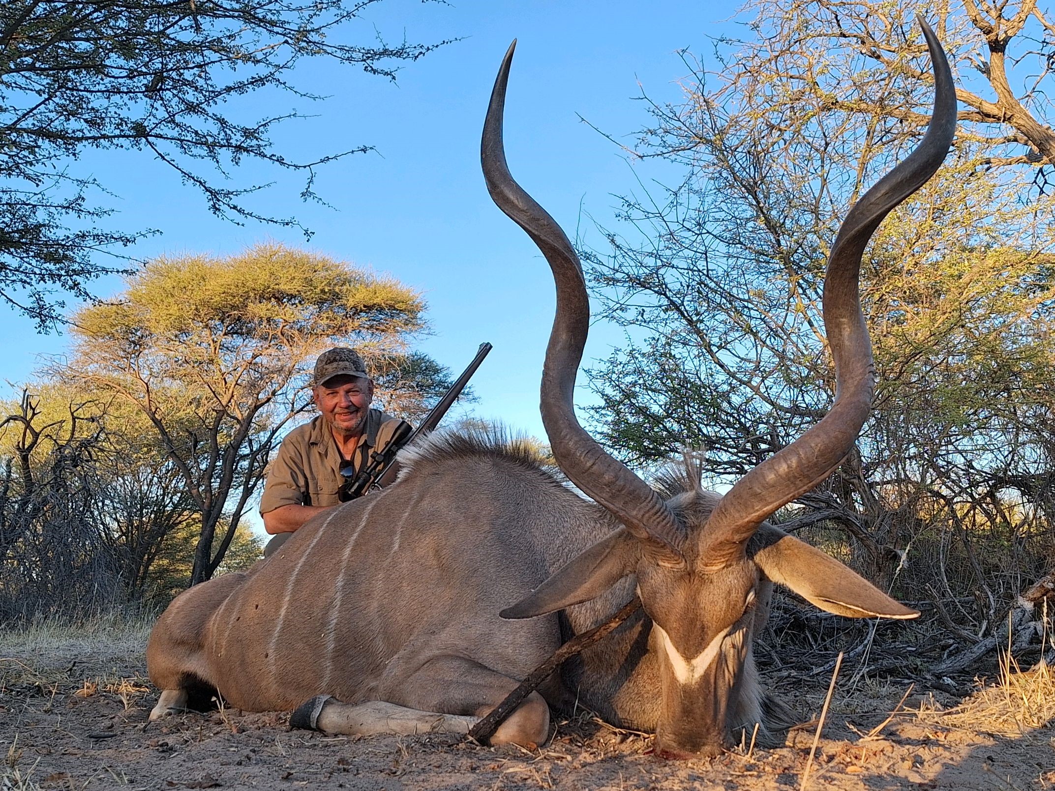 Kudu4.jpg