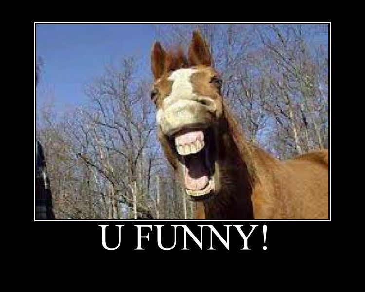 laughing_horse_by_fatgiraffe77.jpg