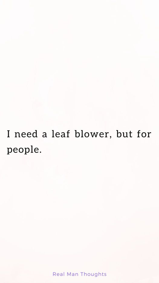 leaf blower.jpg