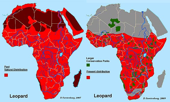 LeopardMaps.jpg