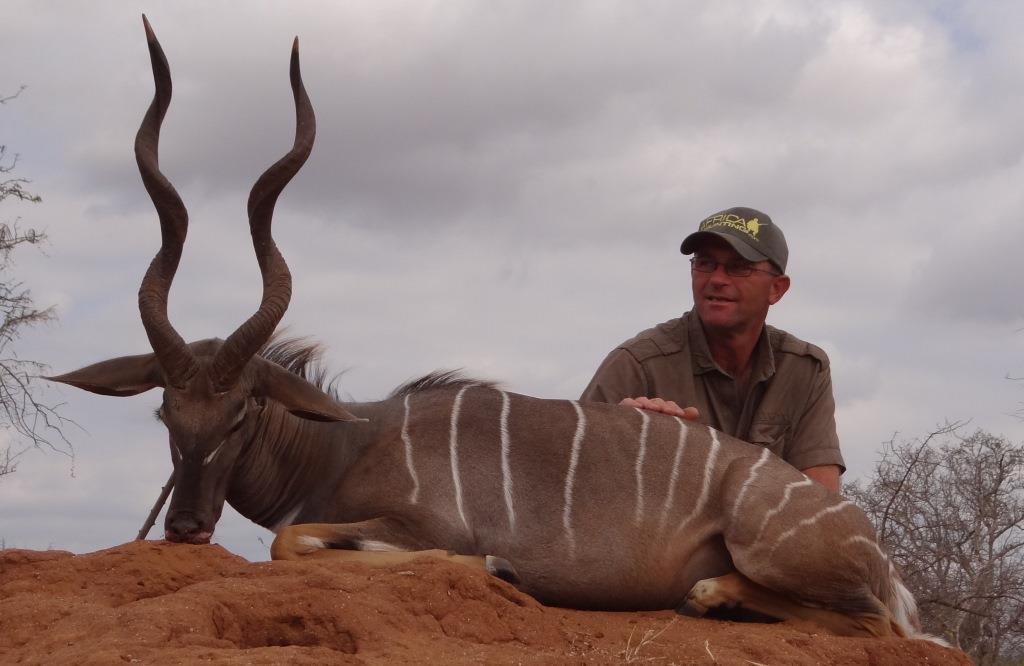 lesser kudu (35).JPG