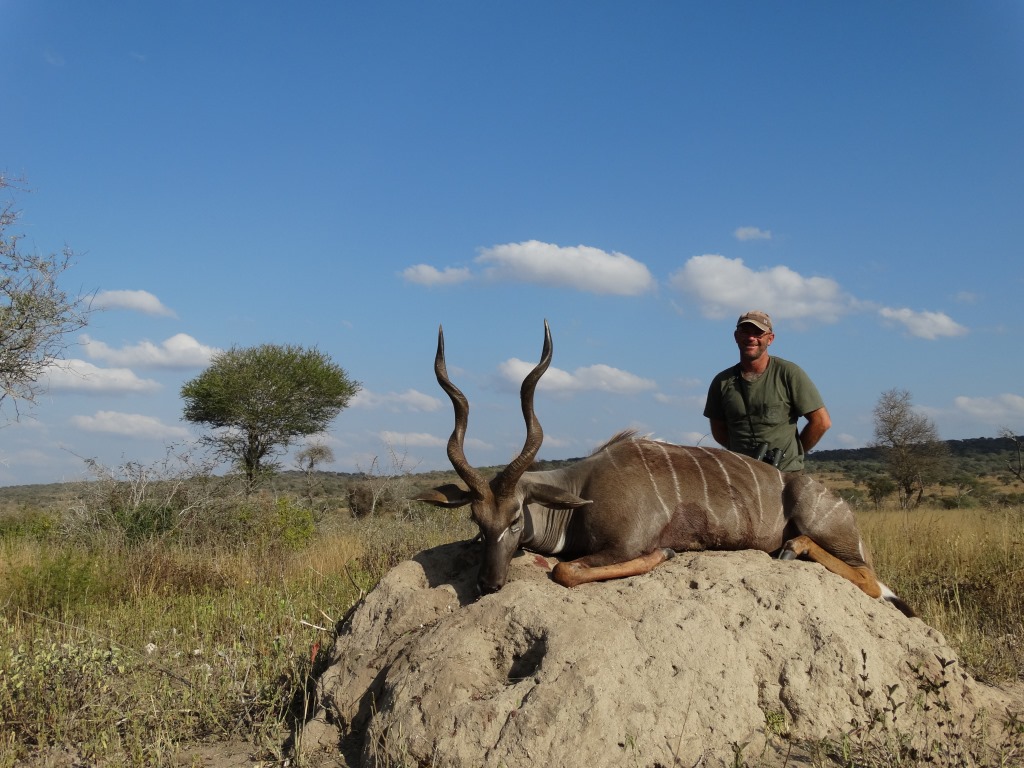 lesser kudu (9).JPG