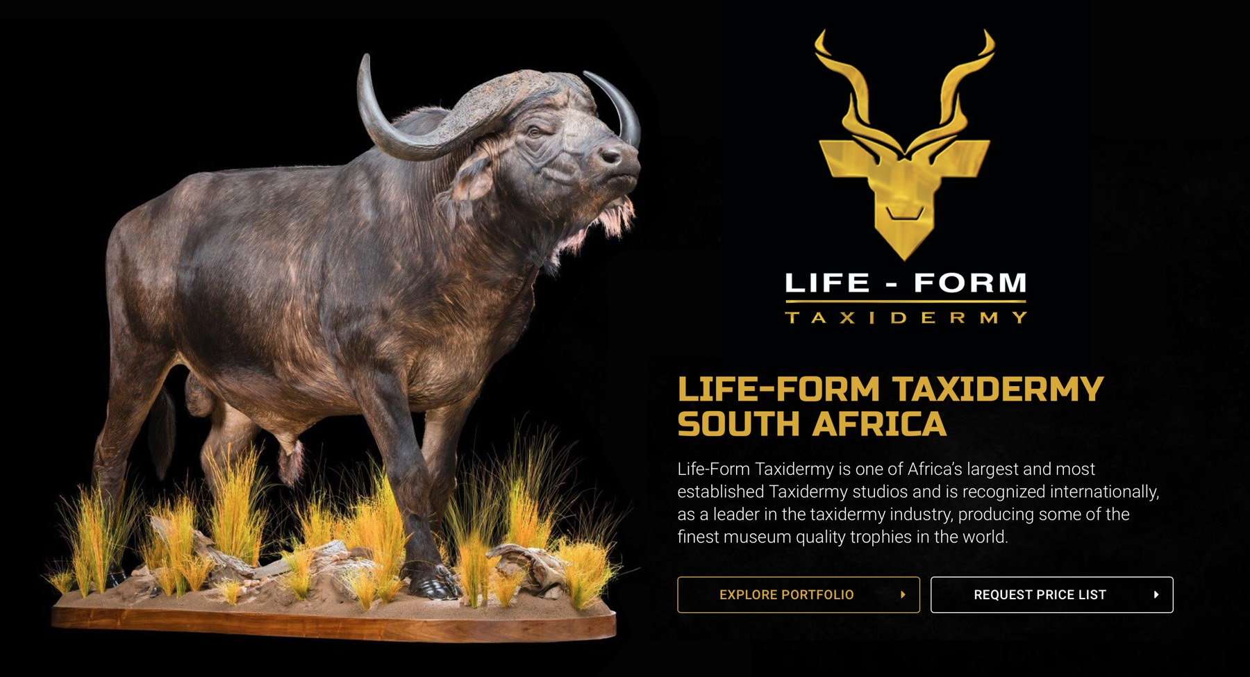 life-form-taxidermy-01.jpg