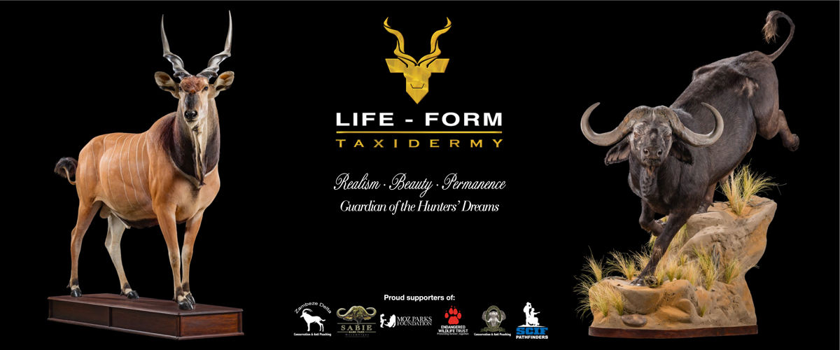 life-form-taxidermy-banner.jpg
