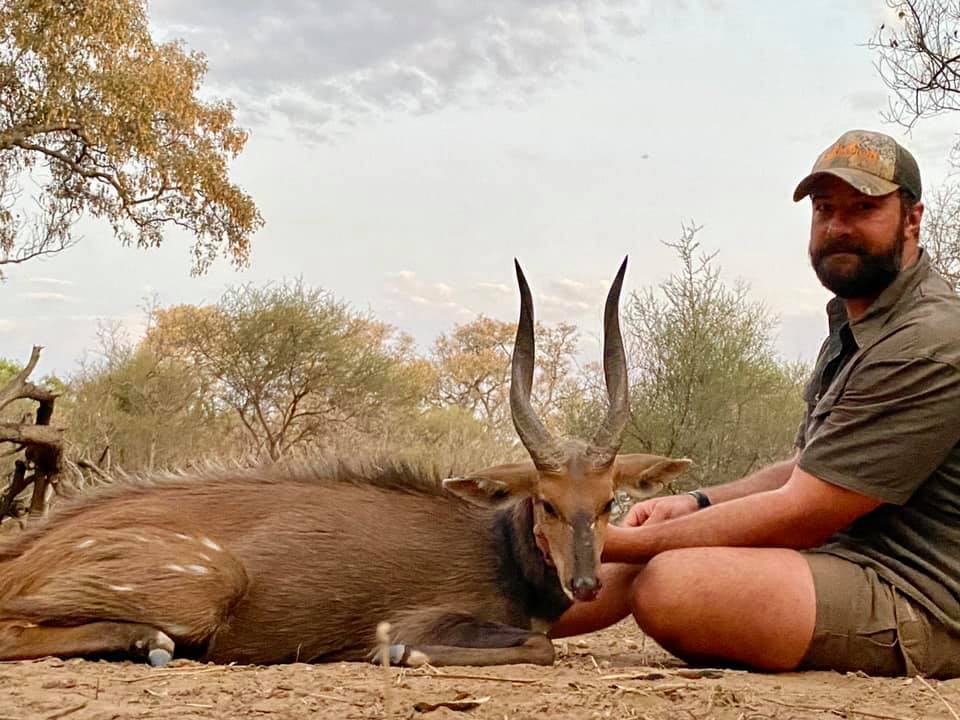 limcroma bushbuck.jpg