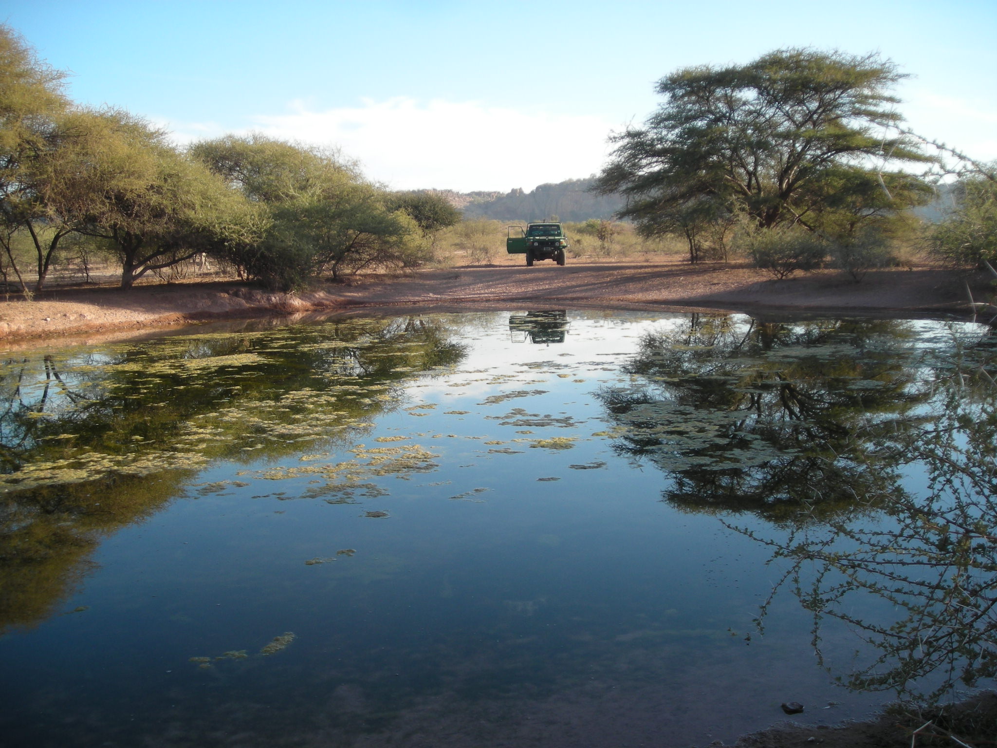 LimpopoSA20070724 005.jpg