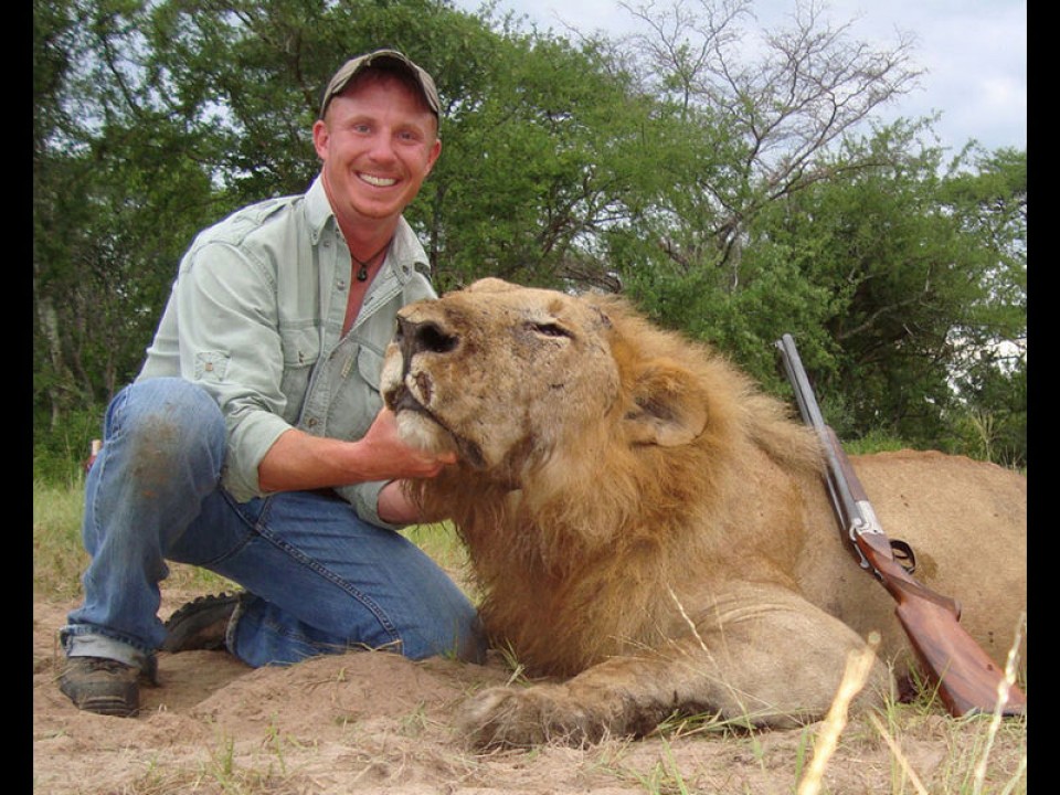 lion-09-4bfea06ee4.jpg