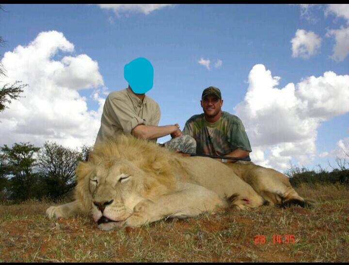 lion-1_li-jpg.220135