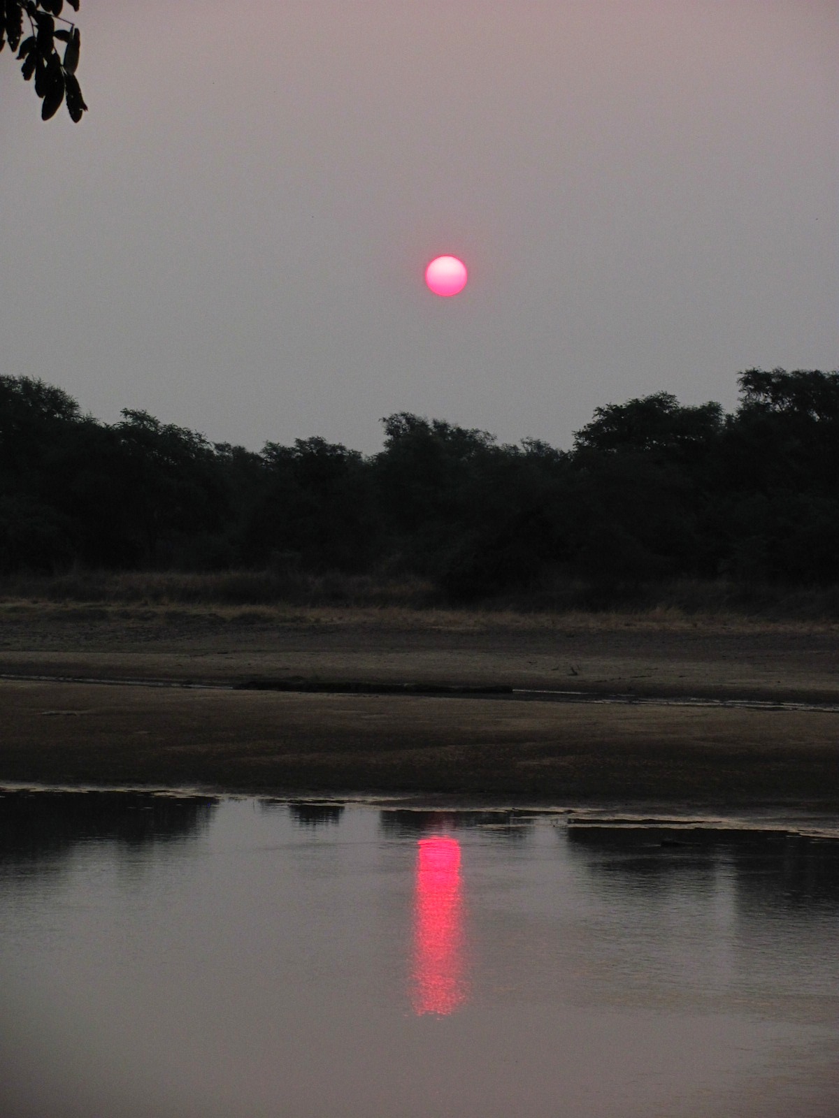 Luangwa sunset Zambia.jpg