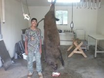 Luisito and Hog Pic.jpg