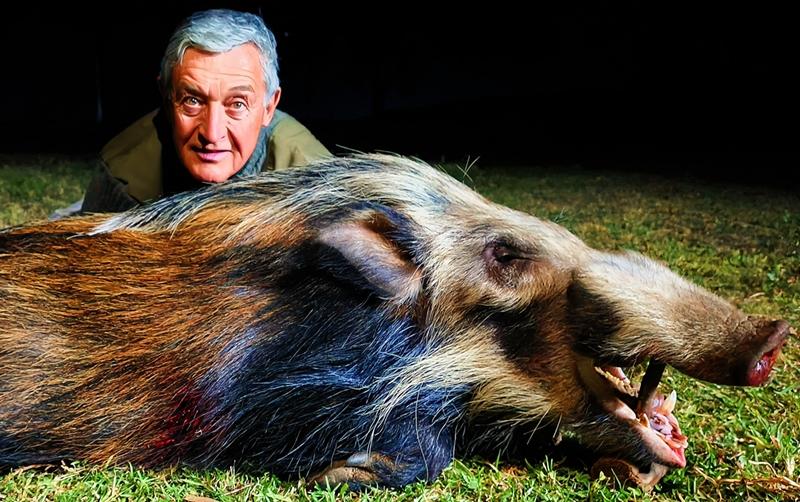 m_Bushpig.jpg
