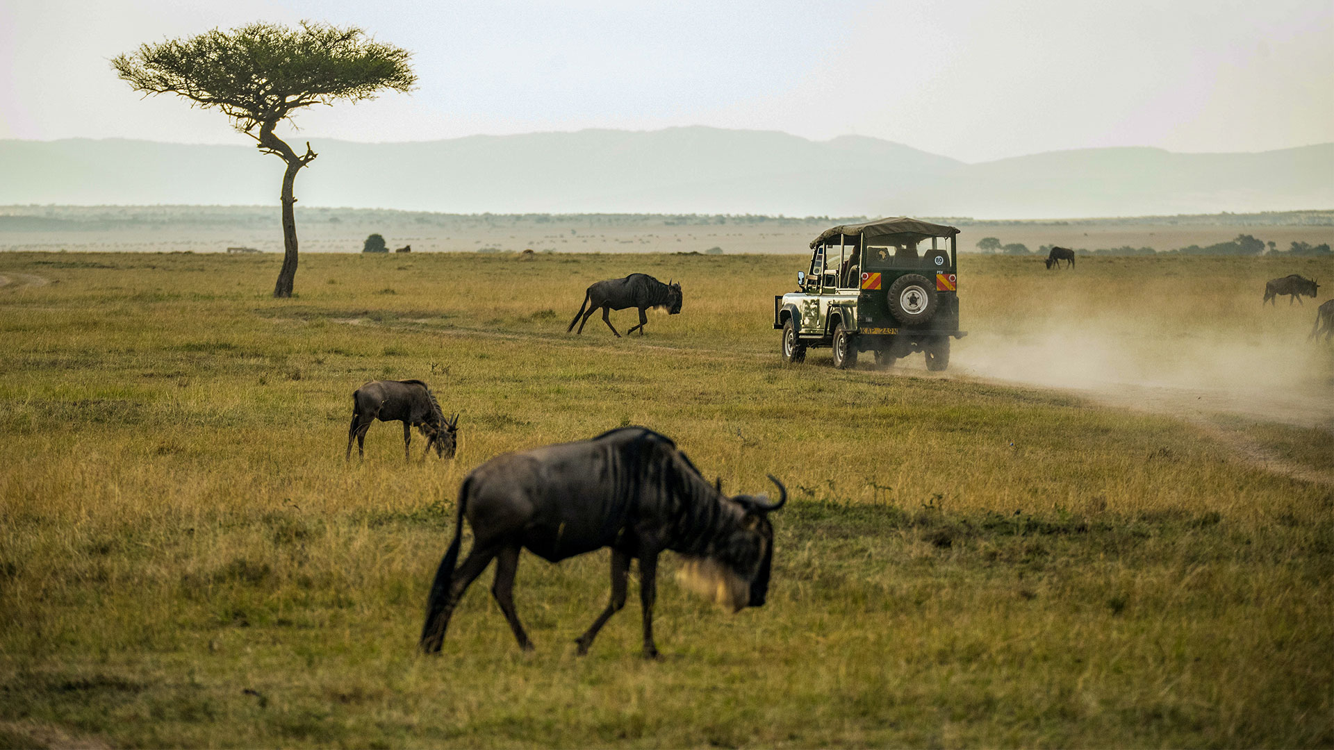 Masai-Mara-National-Reserve-Kenya_featured-image.jpg