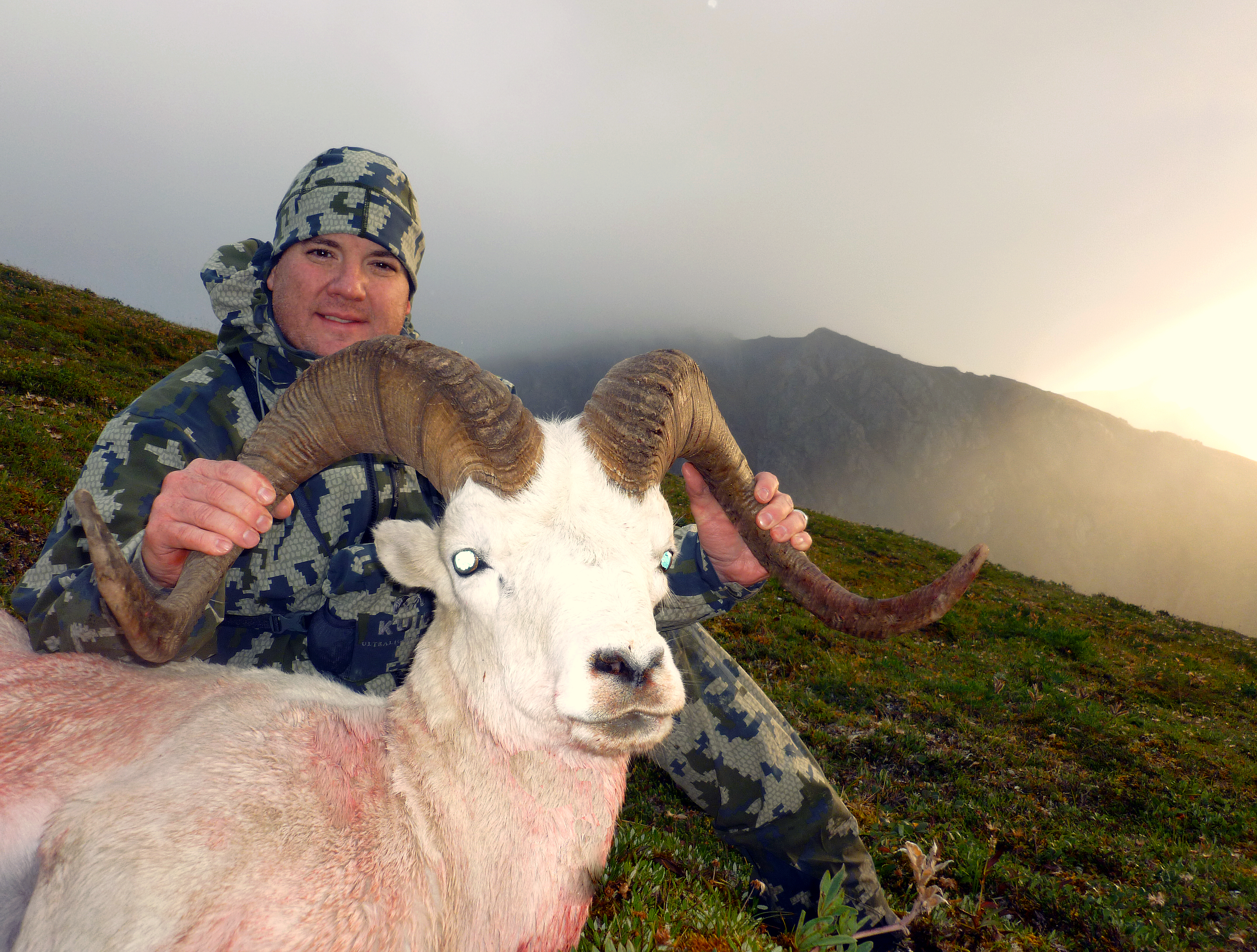 Mauldin AK Dall Sheep 1_edited-1.jpg
