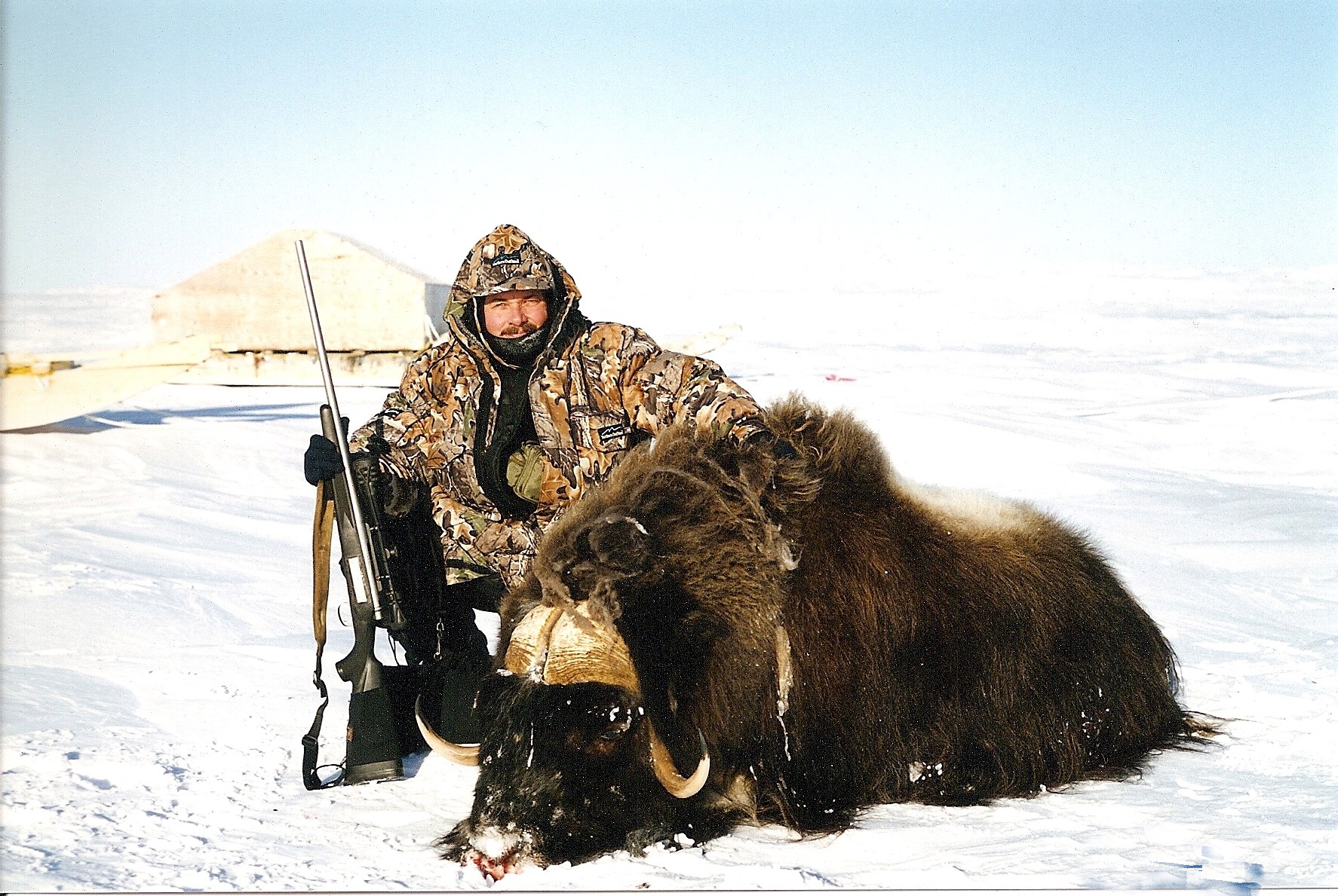 Me & 1st Musk Ox 2-mod.jpg