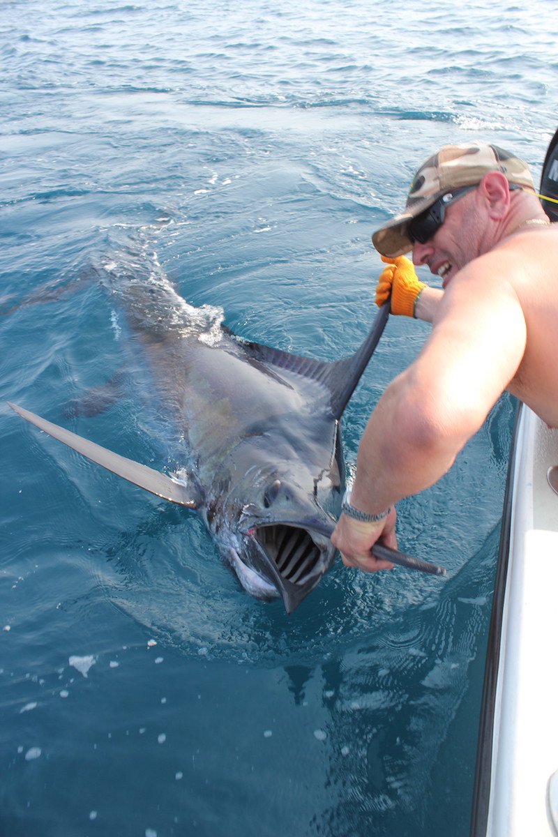 mitch-black-marlin-2.JPG