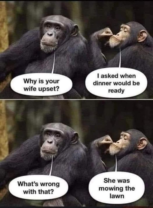 monkey meme.jpg