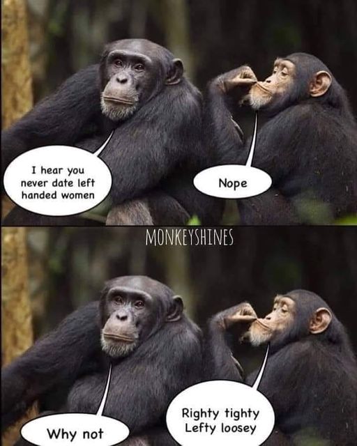 monkey meme.jpg