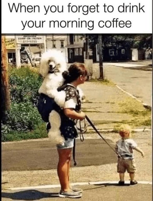 morning-coffee.jpg