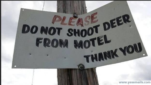 motel_sign.jpg