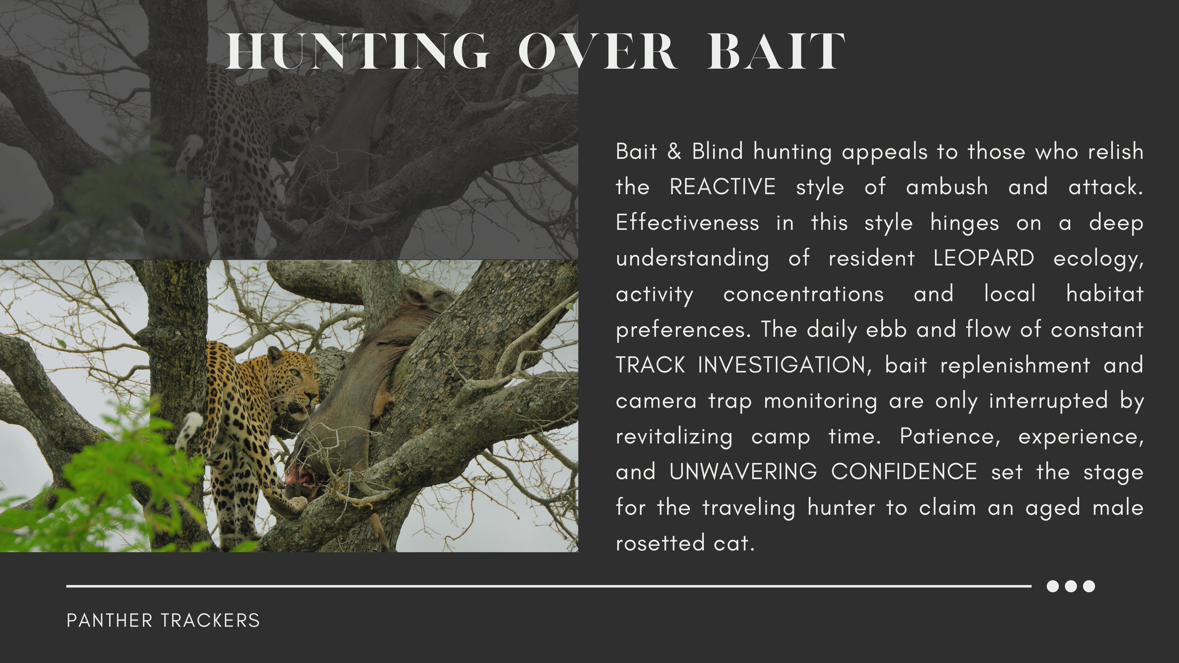 MUANZA Leopard Hunting Presentation PANTHER TRACKERS-05.jpg