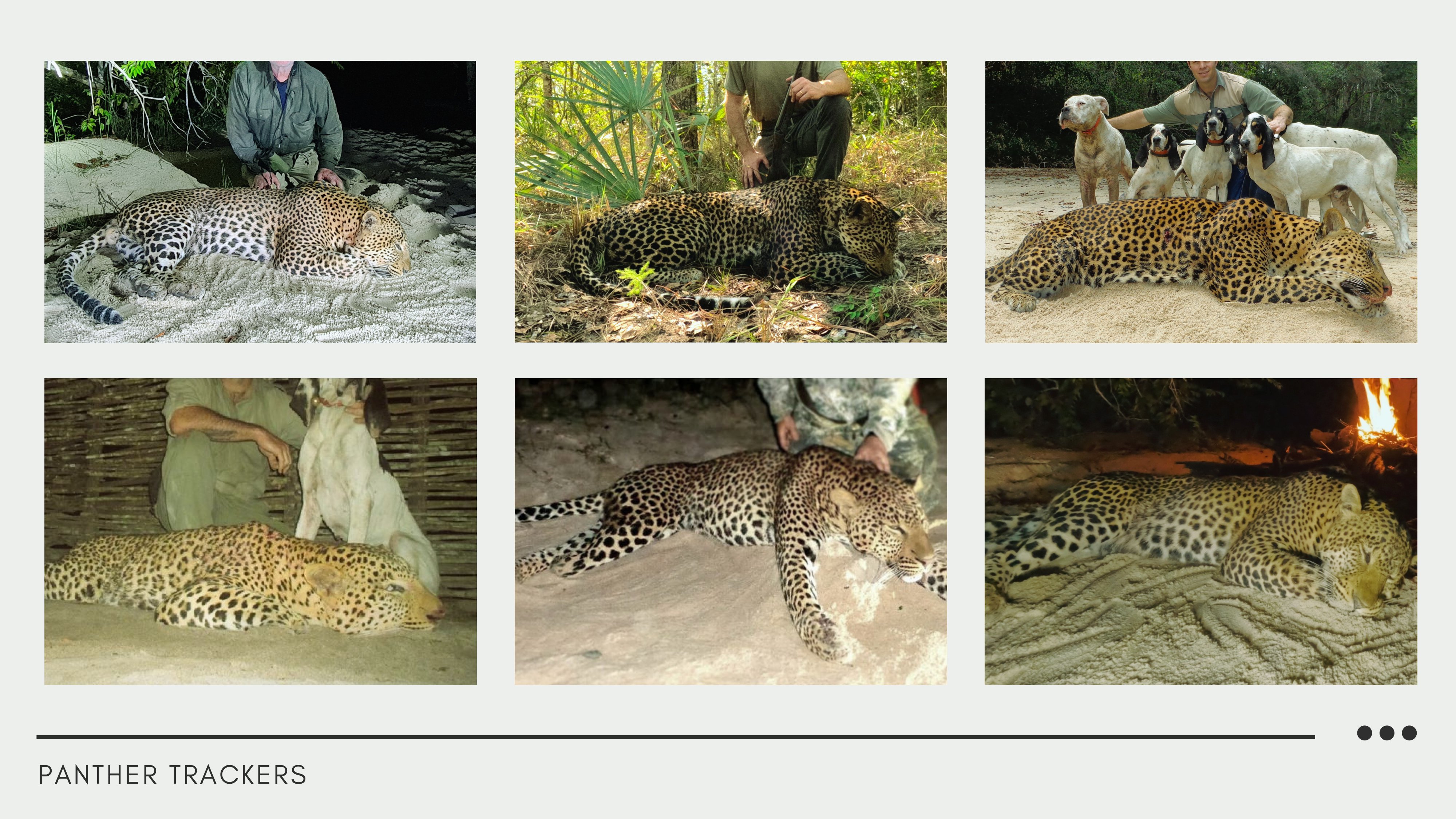 MUANZA Leopard Hunting Presentation PANTHER TRACKERS-09.jpg