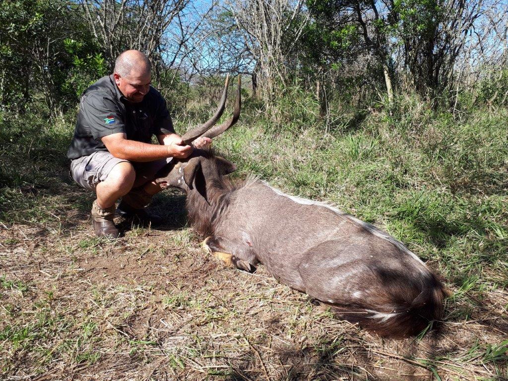 My first nyala what a privilidge..jpg