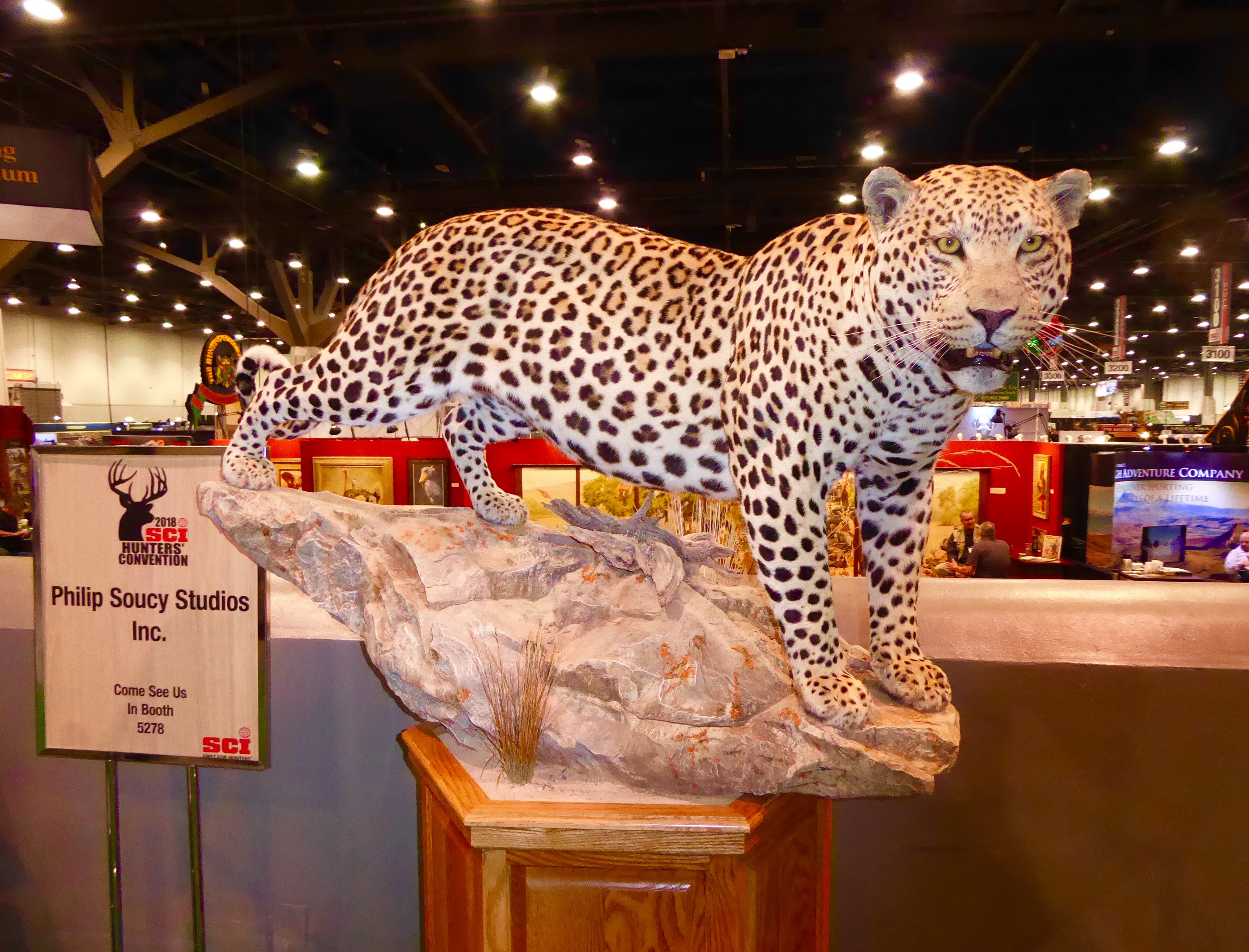 My Leopard at SCI.jpg