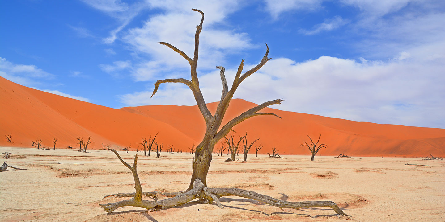 na-sos-sossusvlei-dead-vlei-carousel2.jpg